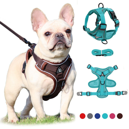 No Pull Harness and Leash Set