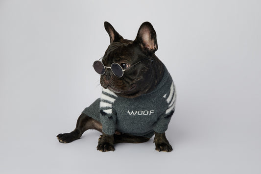 Variety of Luxury Dog Sweaters (off White Style)
