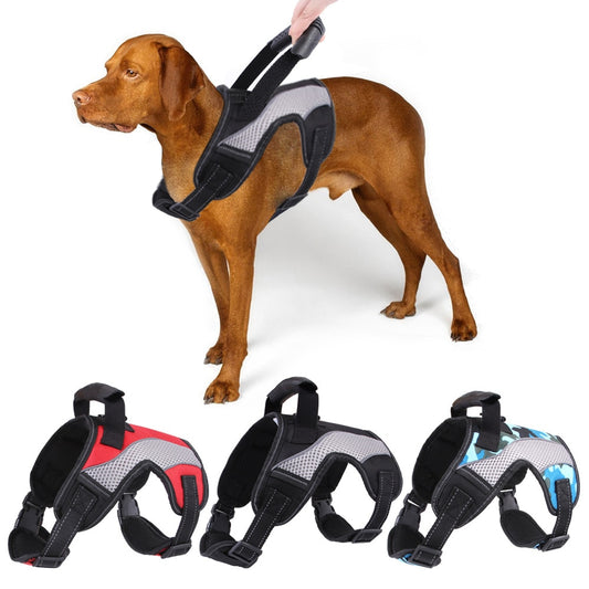 No-Pull Pet Harness with Leash Clips