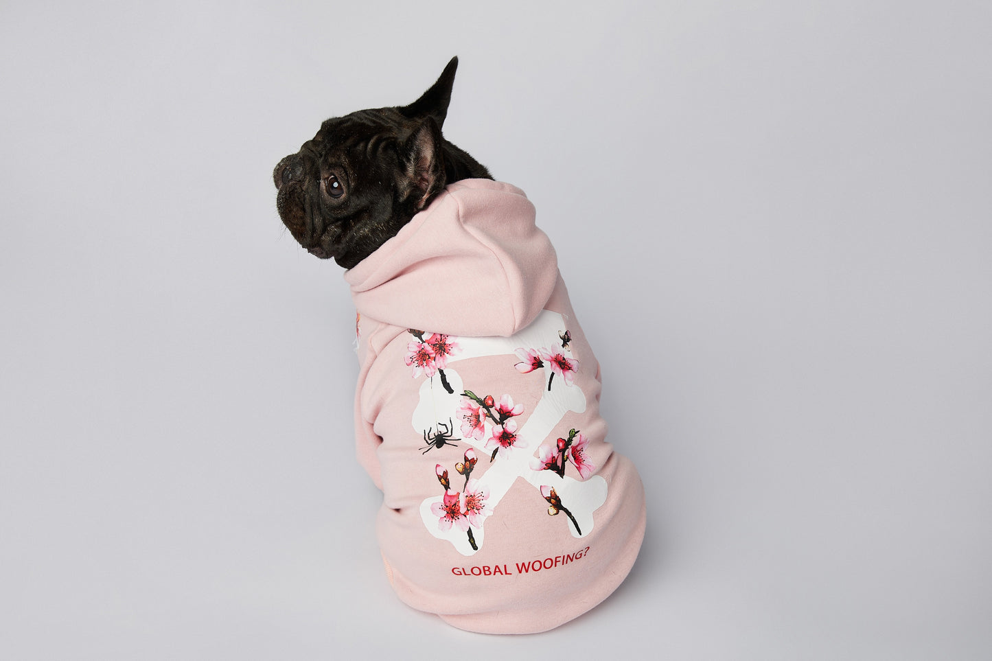 Variety of Luxury Dog Hoodies (off White Style)