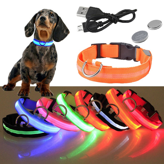 Pet Dog LED Glowing Collar  (USB Rechargeable or Battery powered)